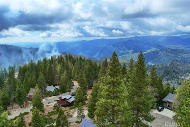 birds eye view of property with a mountain view and a forest view