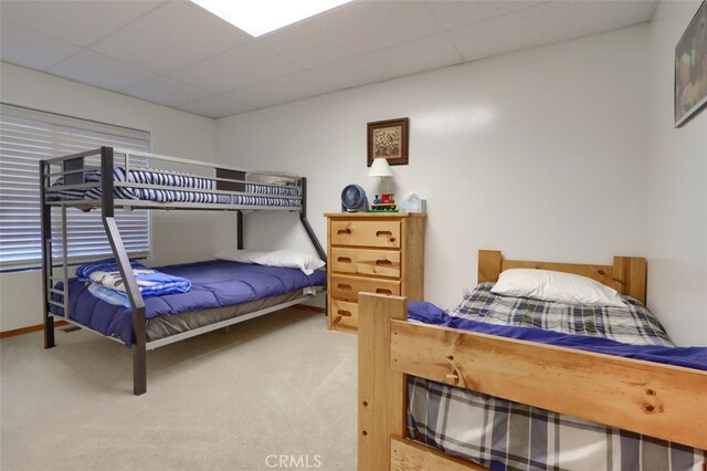 bedroom featuring carpet floors and a paneled ceiling
