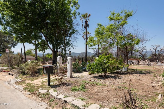 3311 Lake Ave, Altadena, CA 91001 - photo 13