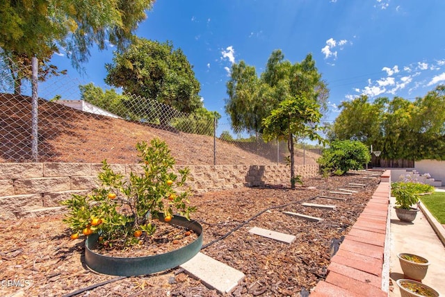 2210 Via Loma, Camarillo, CA 93012 - view of fenced backyard