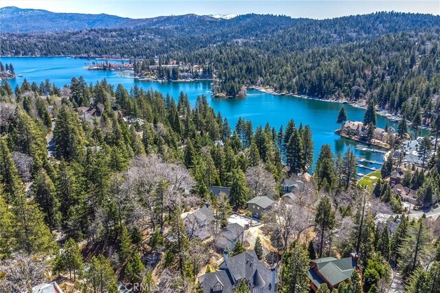 drone / aerial view with a forest view and a water and mountain view