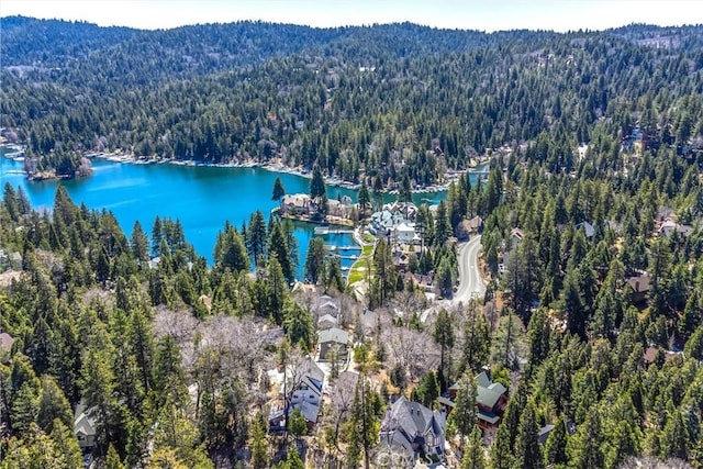 aerial view featuring a water and mountain view and a view of trees