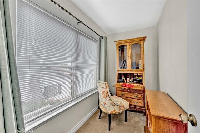 home office with light colored carpet and baseboards