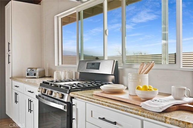 52024 Nehlsen Rd, Johnson Valley, CA 92285 - kitchen with white cabinets, light stone counters, and stainless steel gas stove