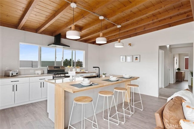 52024 Nehlsen Rd, Johnson Valley, CA 92285 - kitchen featuring light wood finished floors, a sink, stainless steel gas range, wall chimney range hood, and wooden ceiling