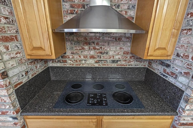 interior details featuring extractor fan and electric stovetop