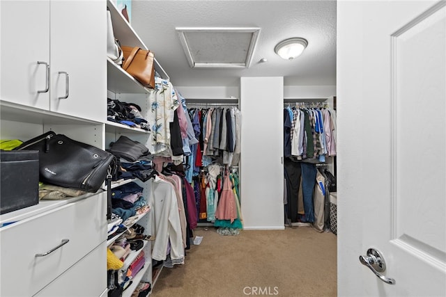 5332 Trailhawk Ave, Fontana, CA 92336 - walk in closet featuring carpet floors and attic access