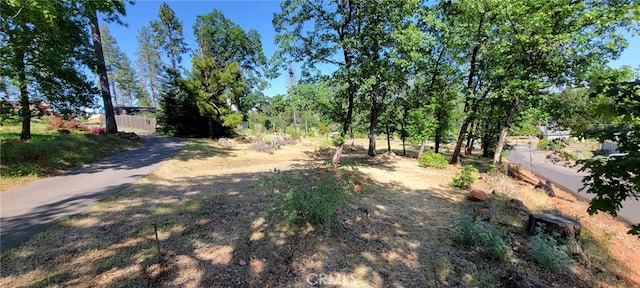 737 Roe Rd, Paradise, CA 95969 - photo 8