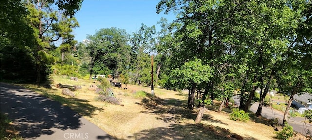 737 Roe Rd, Paradise, CA 95969 - photo 7