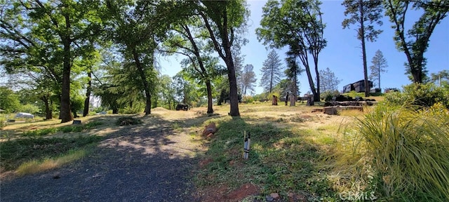 737 Roe Rd, Paradise, CA 95969 - photo 5