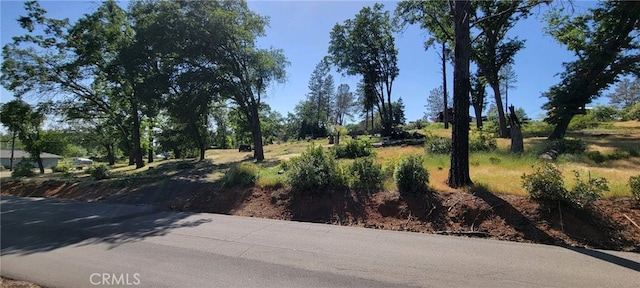 737 Roe Rd, Paradise, CA 95969 - photo 4