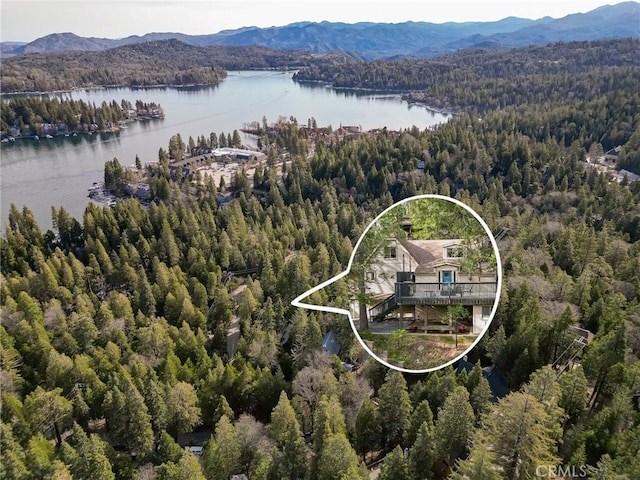 282 Terrace Rd, Lake Arrowhead, CA 92352 - photo 41