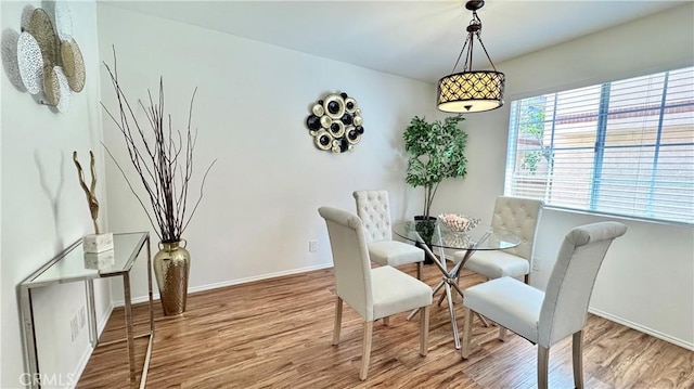 dining room featuring baseboards and wood finished floors