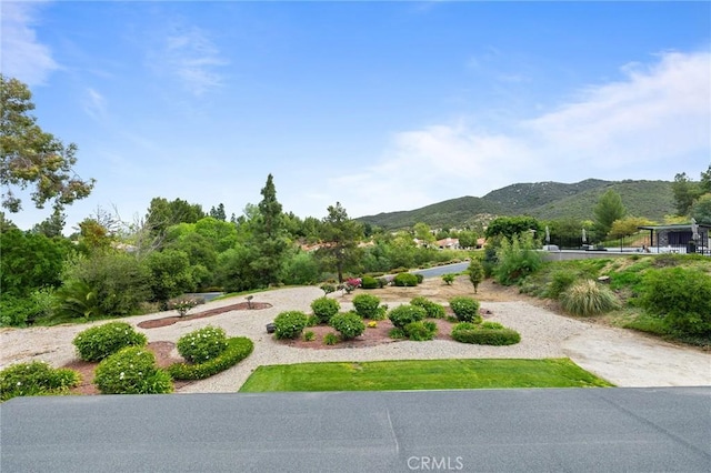 view of home's community featuring a mountain view