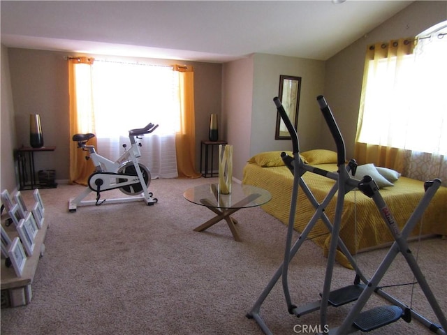 workout room featuring a wealth of natural light and carpet flooring