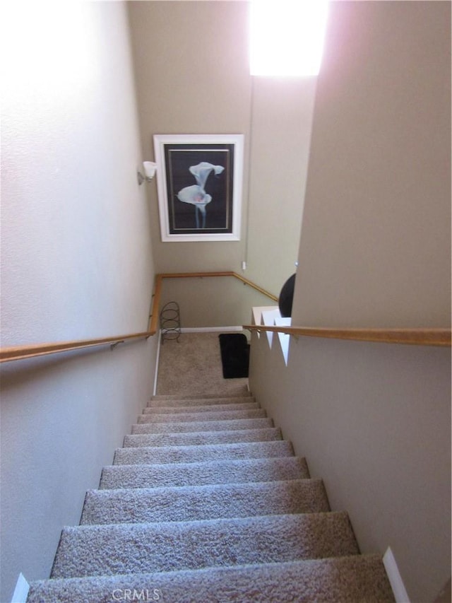 stairs featuring carpet flooring