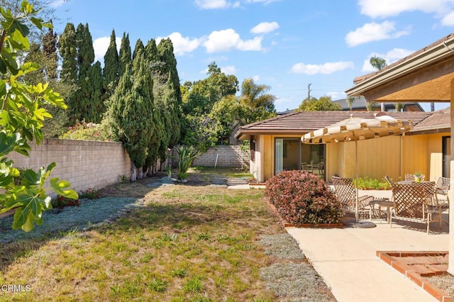 view of yard featuring a fenced backyard and a patio area