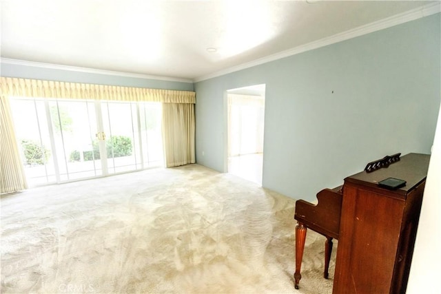 interior space featuring crown molding and carpet flooring