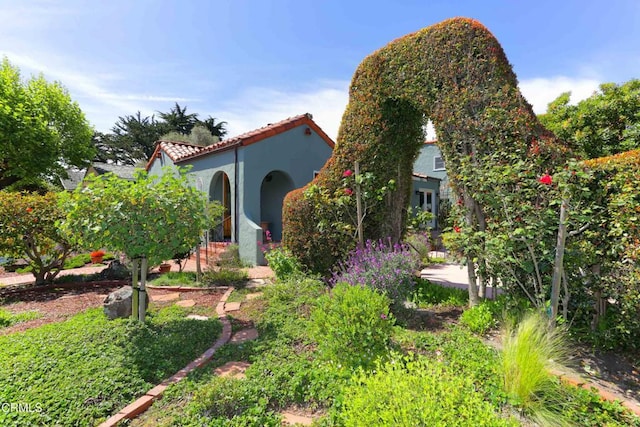 113 4th Ave, Santa Cruz, CA 95062 - photo 6