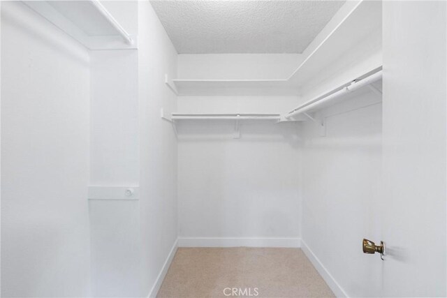 walk in closet featuring carpet