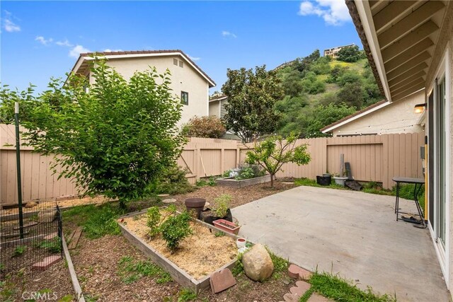view of yard featuring a patio area, a fenced backyard, and a garden