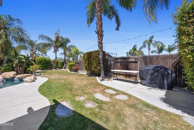 view of yard with a patio area and a fenced backyard