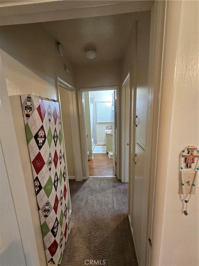 hallway with carpet