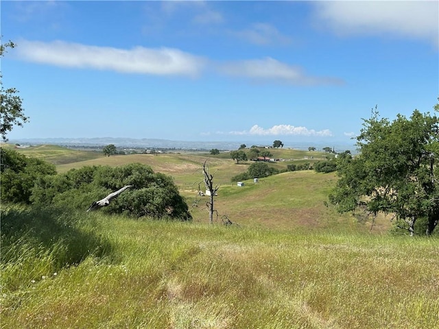 1975 Hidden Acre Ln, Paso Robles, CA 93446 - view of local wilderness featuring a rural view