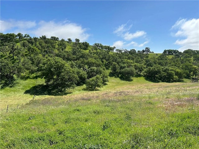 1975 Hidden Acre Ln, Paso Robles, CA 93446 - view of landscape