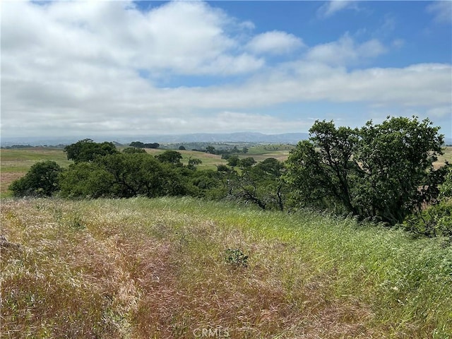 1975 Hidden Acre Ln, Paso Robles, CA 93446 - view of local wilderness with a rural view