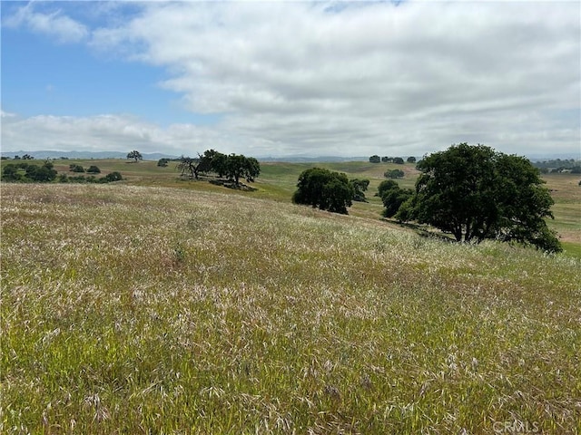 1975 Hidden Acre Ln, Paso Robles, CA 93446 - view of landscape with a rural view