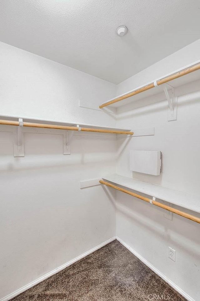 44936 Honey Locust Dr, Temecula, CA 92592 - spacious closet featuring dark carpet