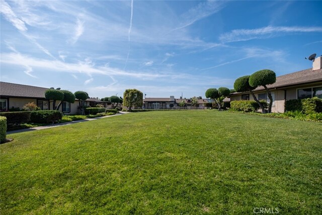 999 E Valley Blvd Unit 44, Alhambra, CA 91801 - view of green lawn