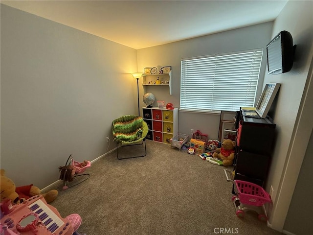 recreation room with carpet floors