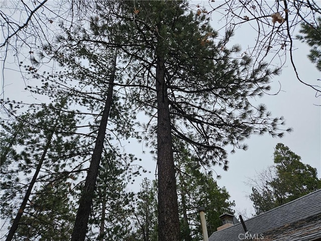 32868 Deer Ln, Running Springs, CA 92382 - exterior view