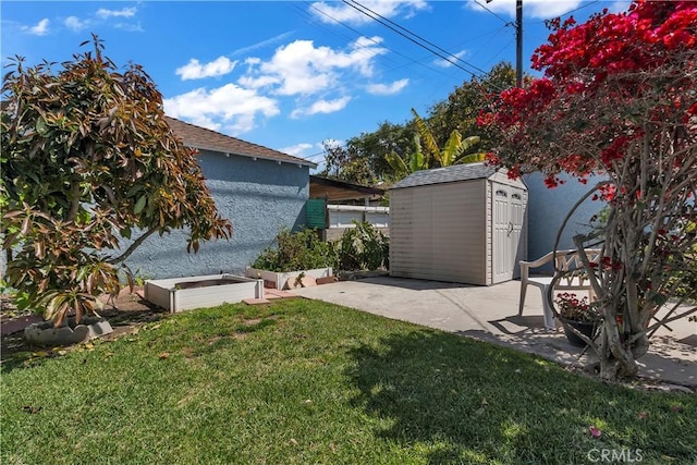 view of yard featuring an outbuilding, a patio area, and a storage unit