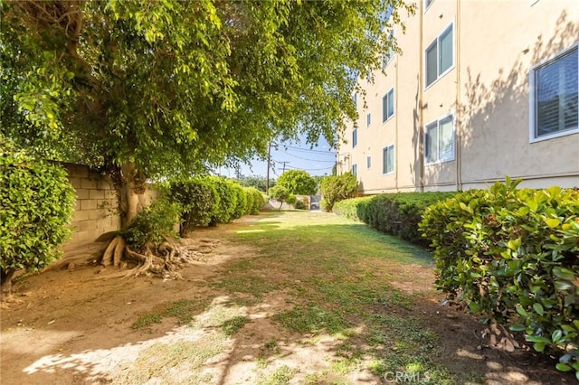 view of yard