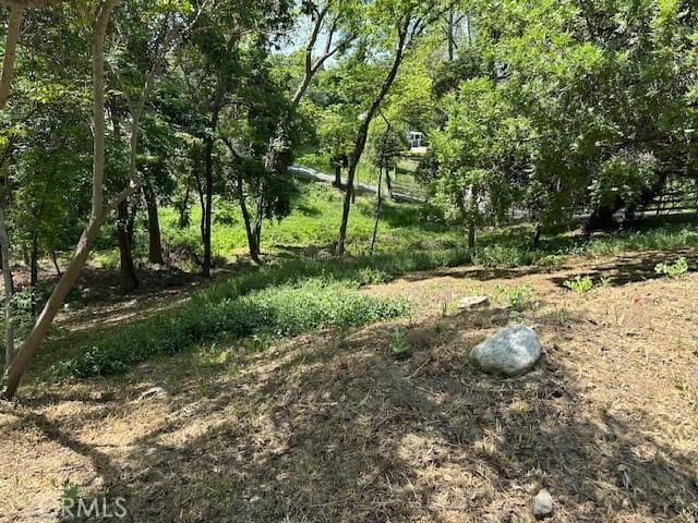 2307 Cameron Ave, Covina, CA 91724 - view of local wilderness