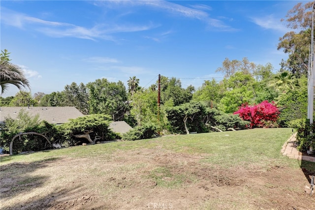 2307 Cameron Ave, Covina, CA 91724 - view of yard
