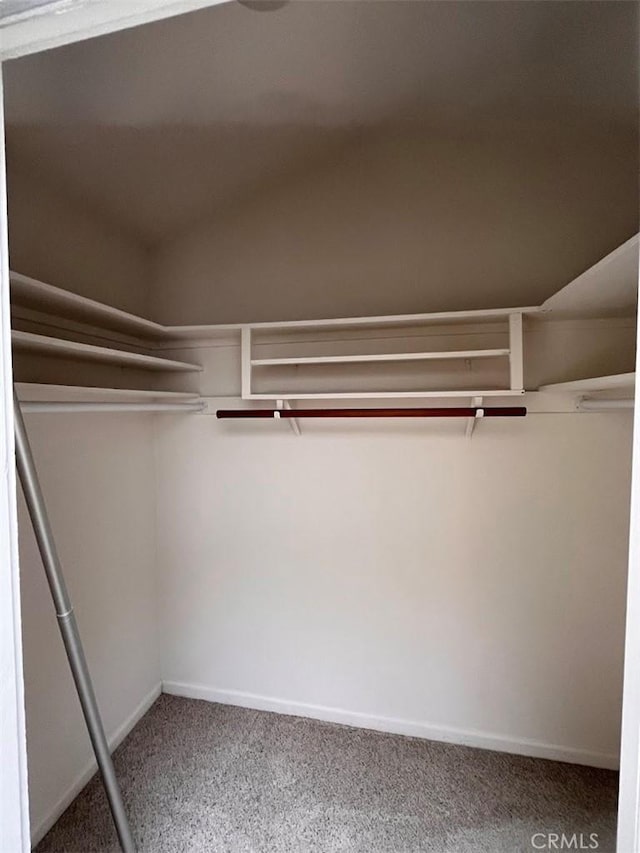 12750 Centralia St Unit 142, Lakewood, CA 90715 - walk in closet with vaulted ceiling and carpet
