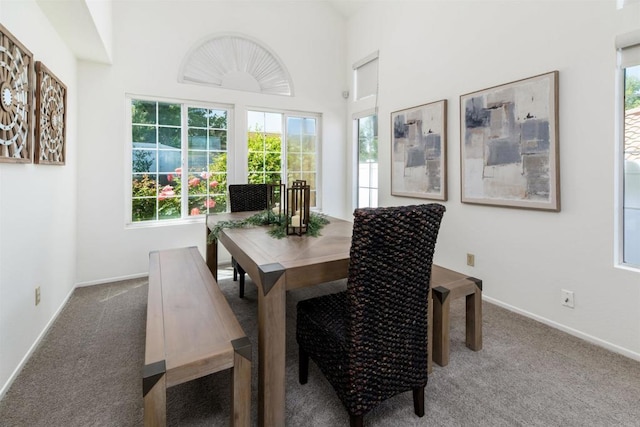 dining space featuring carpet floors and baseboards