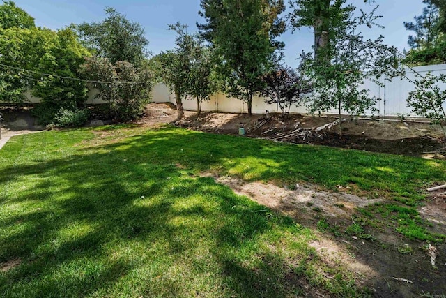 view of yard featuring a fenced backyard