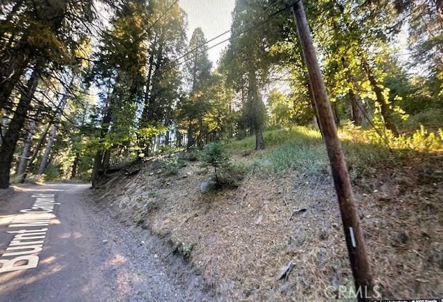 0 Burnt Mill Canyon Rd, Cedarpines Park, CA 92322