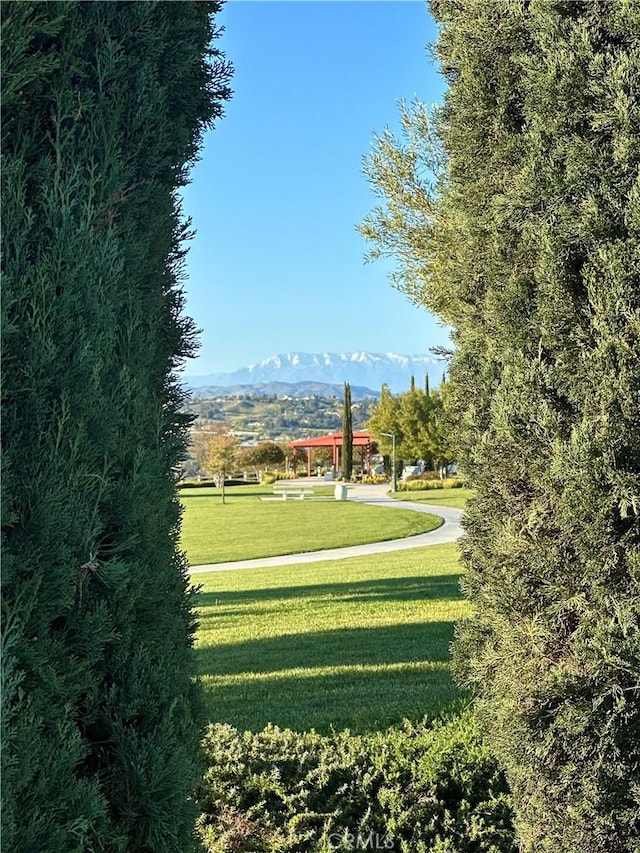view of home's community with a yard and a mountain view