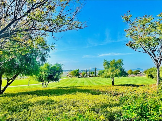 view of property's community featuring a lawn