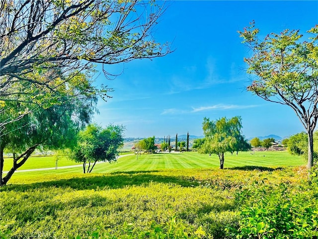 34036 Galleron St, Temecula, CA 92592 - view of property's community with a yard