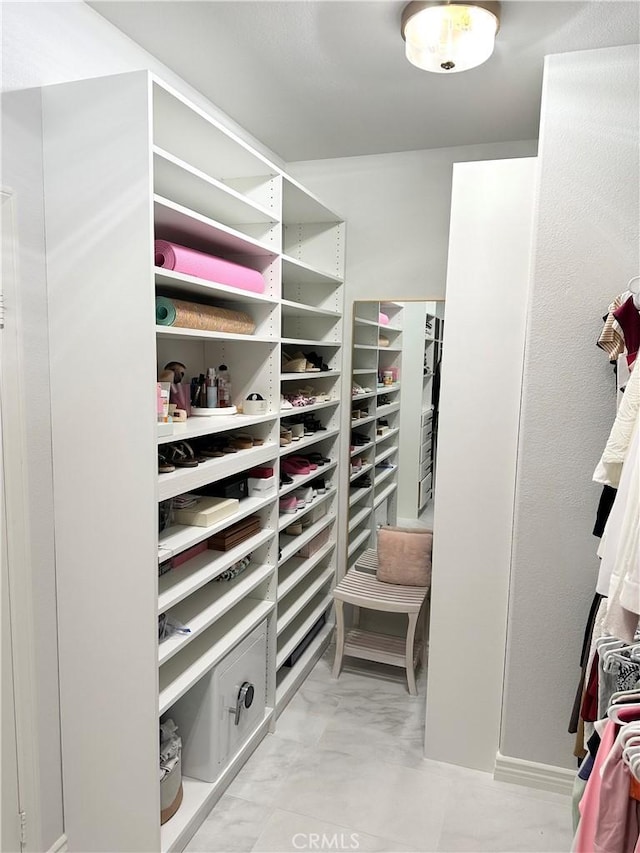 view of walk in closet