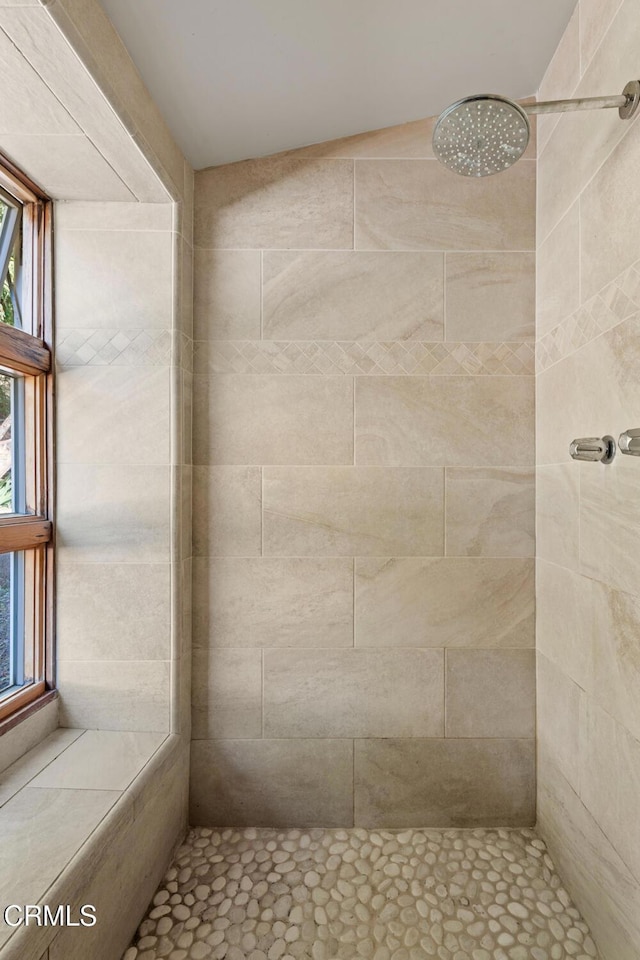 full bathroom with tiled shower