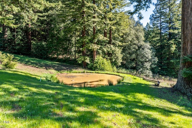 view of yard featuring a view of trees