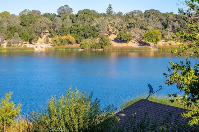 8035 Santa Rosa Rd, Atascadero, CA 93422 - water view with a heavily wooded area